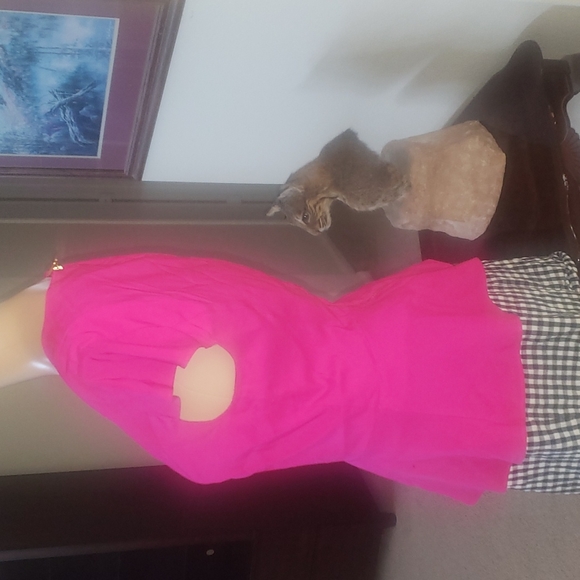 Express s hot pink satin peplum drop sleeve darted bust feminine top - Picture 3 of 11